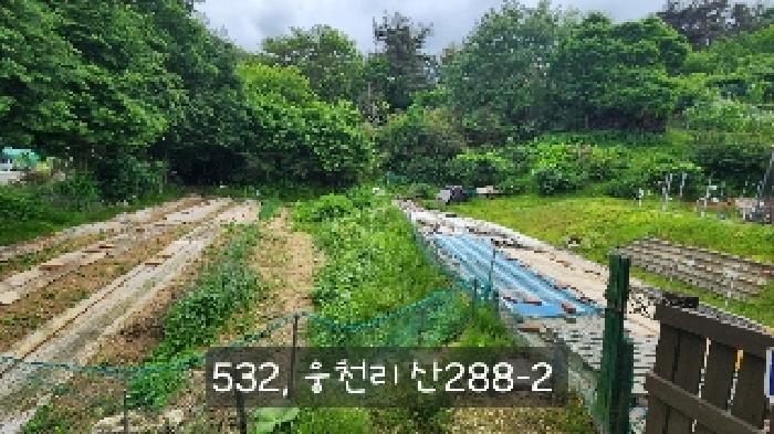 부산 기장군 철마면 동물및식물관련시설 경매 물건 사진 5 · 2025타경532