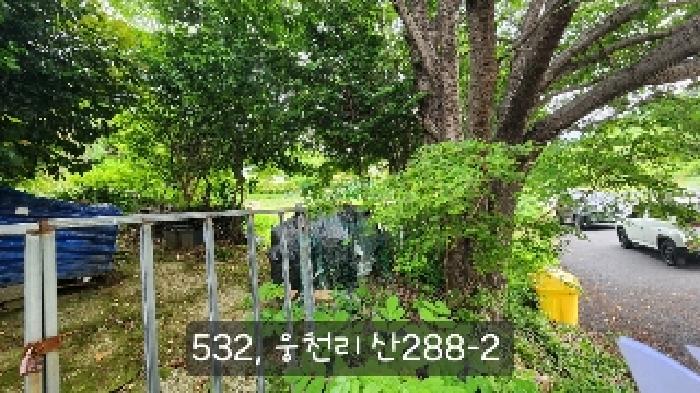 부산 기장군 철마면 동물및식물관련시설 경매 물건 사진 6 · 2025타경532