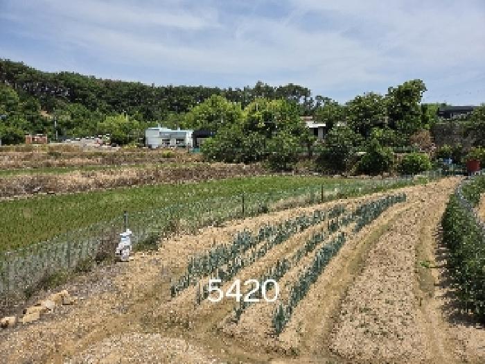 부산 기장군 일광읍 전답 경매 물건 사진