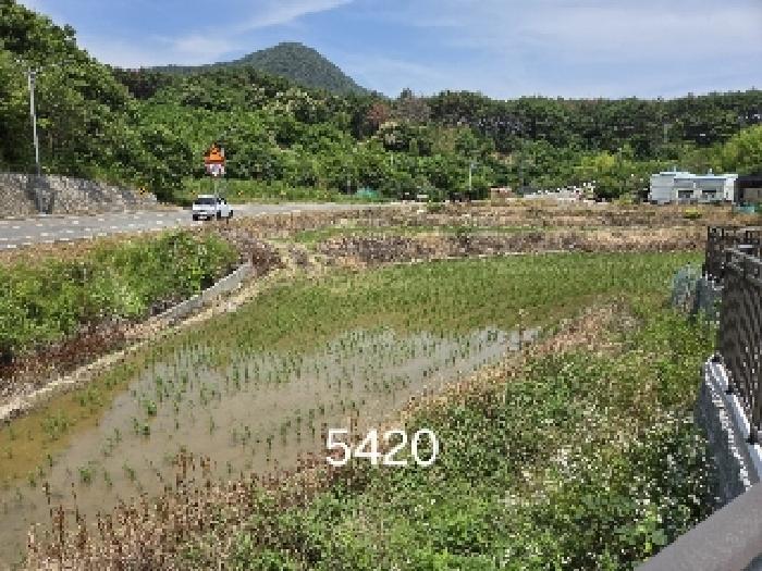 부산 기장군 일광읍 전답 경매 물건 사진 2 · 2025타경5420