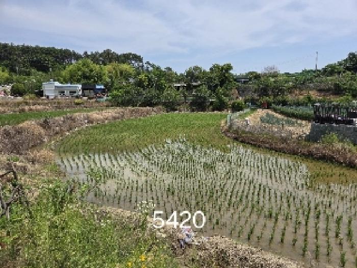 부산 기장군 일광읍 전답 경매 물건 사진 3 · 2025타경5420