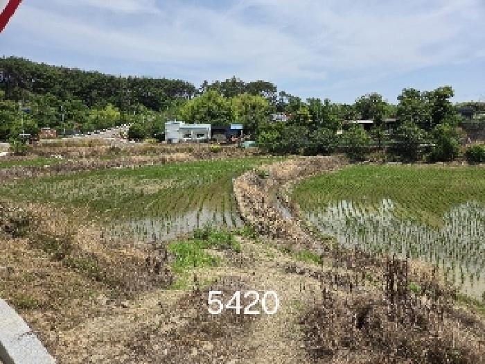 부산 기장군 일광읍 전답 경매 물건 사진 4 · 2025타경5420