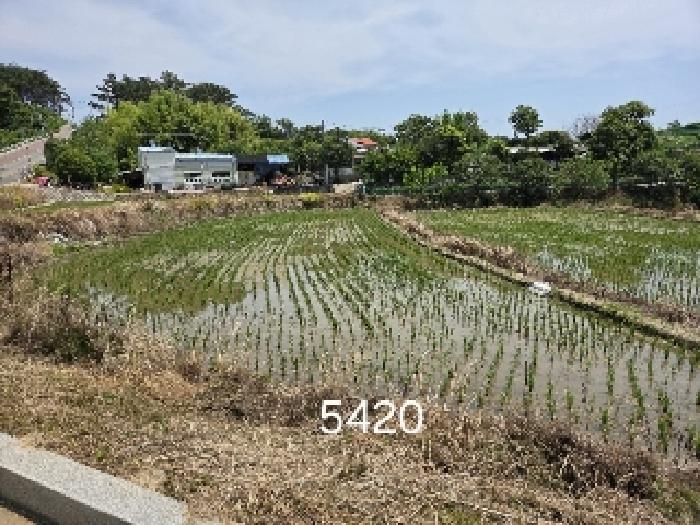 부산 기장군 일광읍 전답 경매 물건 사진 5 · 2025타경5420
