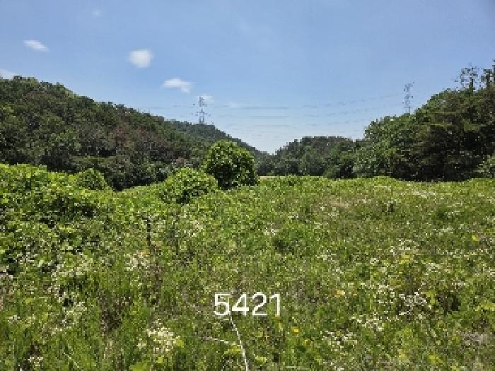 부산 기장군 장안읍 답 경매 물건 사진 2 · 2025타경5421