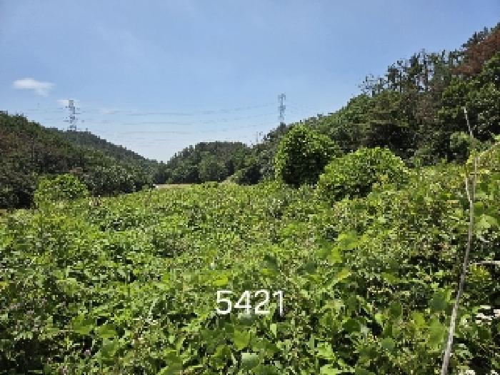 부산 기장군 장안읍 답 경매 물건 사진 3 · 2025타경5421