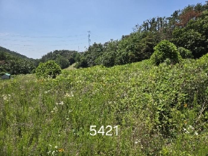 부산 기장군 장안읍 답 경매 물건 사진 4 · 2025타경5421