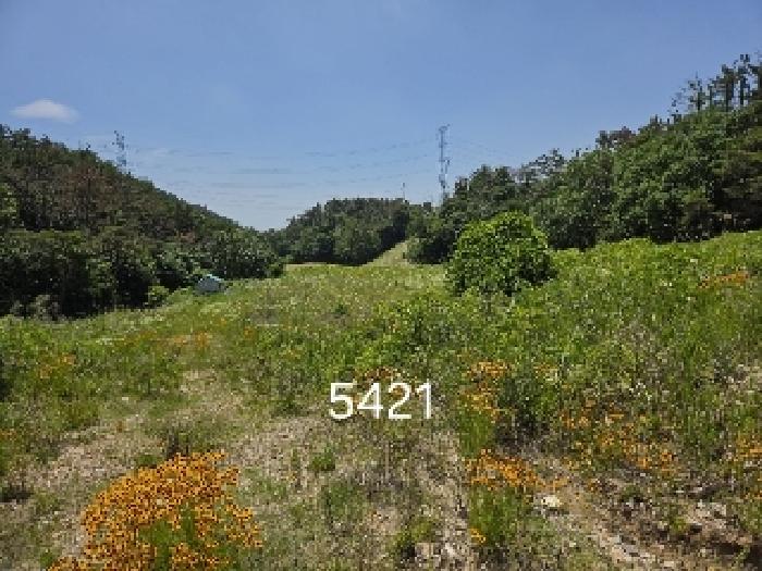 부산 기장군 장안읍 답 경매 물건 사진 5 · 2025타경5421