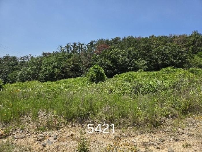 부산 기장군 장안읍 답 경매 물건 사진 6 · 2025타경5421