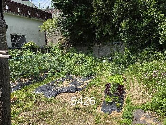 부산 기장군 장안읍 상가,오피스텔,근린시설 경매 물건 사진 2 · 2025타경5426