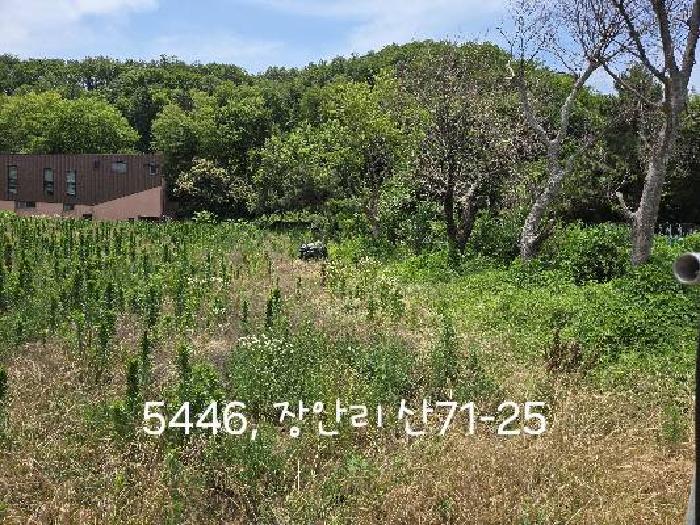 부산 기장군 장안읍 잡종지 경매 물건 사진 2 · 2025타경5446