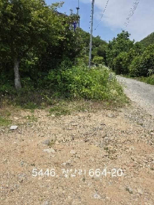 부산 기장군 장안읍 잡종지 경매 물건 사진 5 · 2025타경5446
