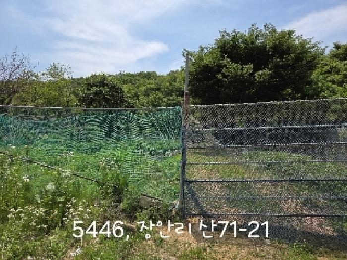 부산 기장군 장안읍 잡종지 경매 물건 사진 6 · 2025타경5446