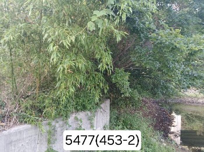 부산 기장군 정관읍 임야 경매 물건 사진 4 · 2025타경5477