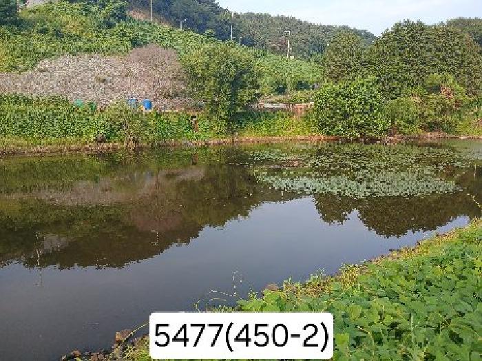 부산 기장군 정관읍 임야 경매 물건 사진 6 · 2025타경5477