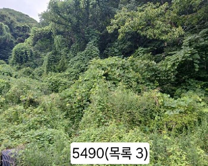 부산 기장군 정관읍 근린생활시설 경매 물건 사진 2 · 2025타경5490