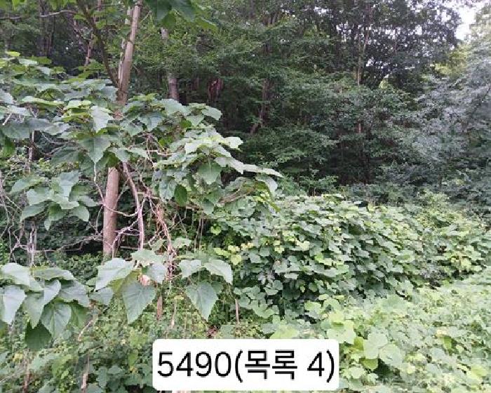 부산 기장군 정관읍 근린생활시설 경매 물건 사진 3 · 2025타경5490