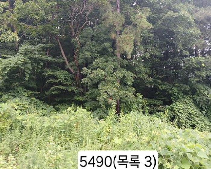 부산 기장군 정관읍 근린생활시설 경매 물건 사진 4 · 2025타경5490