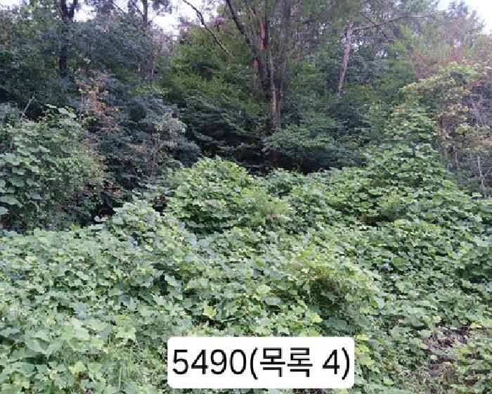 부산 기장군 정관읍 근린생활시설 경매 물건 사진 5 · 2025타경5490