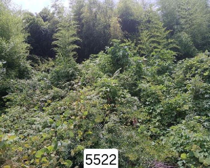 부산 기장군 일광읍 임야 경매 물건 사진 2 · 2025타경5522