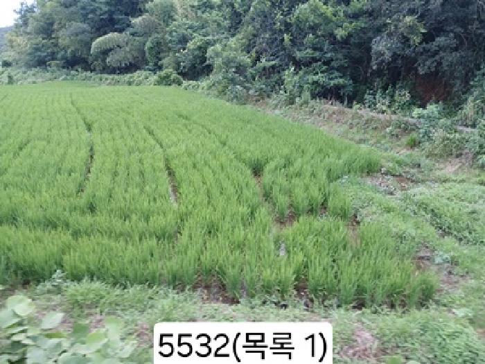 부산 기장군 일광읍 답 경매 물건 사진