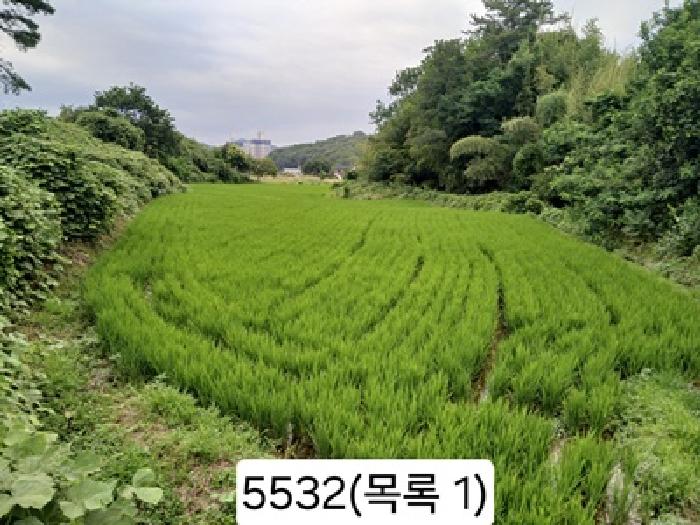 부산 기장군 일광읍 답 경매 물건 사진 2 · 2025타경5532