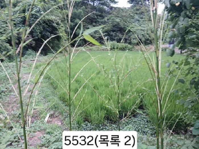 부산 기장군 일광읍 답 경매 물건 사진 3 · 2025타경5532