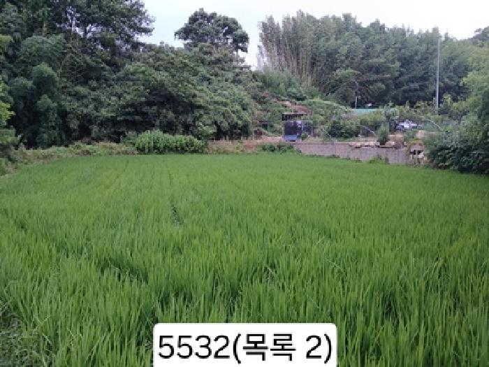 부산 기장군 일광읍 답 경매 물건 사진 4 · 2025타경5532