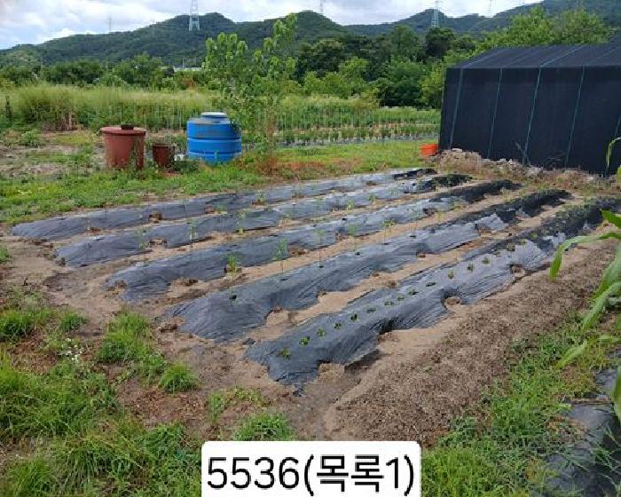 부산 기장군 정관읍 전답 경매 물건 사진