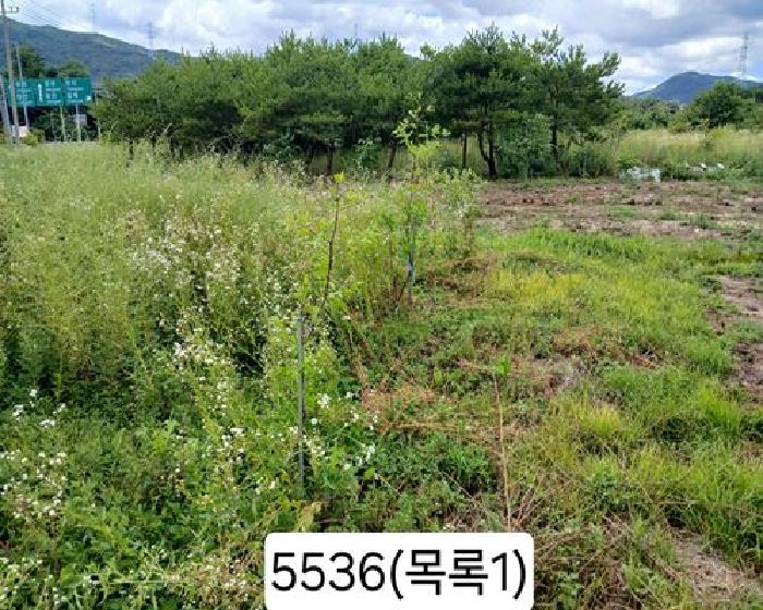 부산 기장군 정관읍 전답 경매 물건 사진 2 · 2025타경5536