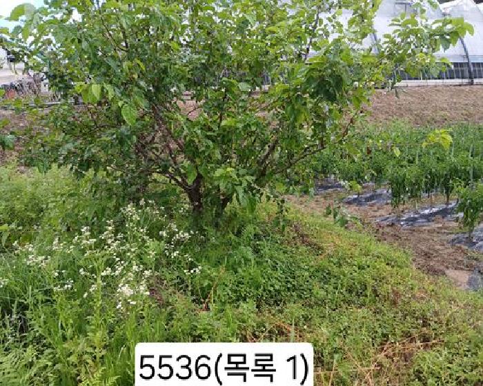 부산 기장군 정관읍 전답 경매 물건 사진 3 · 2025타경5536