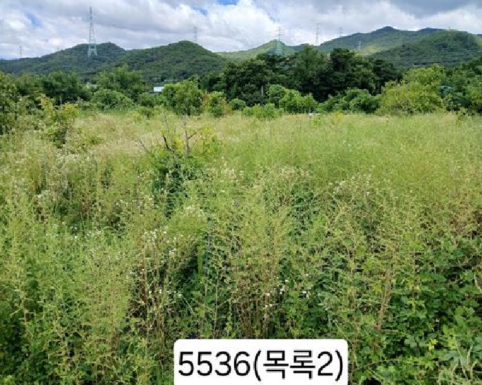 부산 기장군 정관읍 전답 경매 물건 사진 4 · 2025타경5536