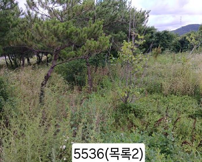 부산 기장군 정관읍 전답 경매 물건 사진 5 · 2025타경5536