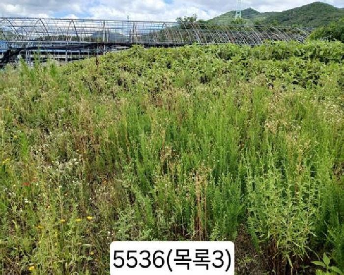 부산 기장군 정관읍 전답 경매 물건 사진 6 · 2025타경5536