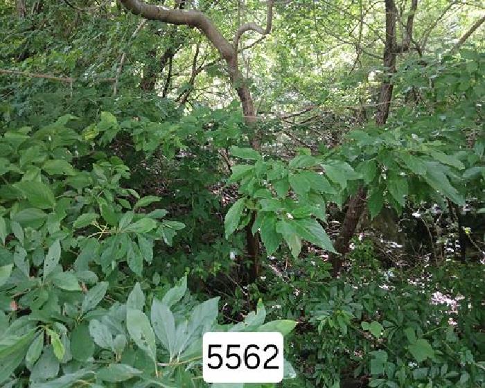 부산 기장군 정관읍 임야 경매 물건 사진 4 · 2025타경5562
