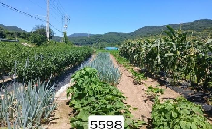 부산 기장군 철마면 전답 경매 물건 사진 3 · 2025타경5598