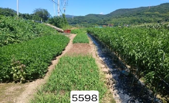 부산 기장군 철마면 전답 경매 물건 사진 4 · 2025타경5598