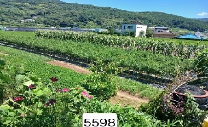 부산 기장군 철마면 전답 경매 물건 사진 5 · 2025타경5598