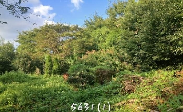 부산 기장군 철마면 전답 경매 물건 사진 2 · 2025타경5631