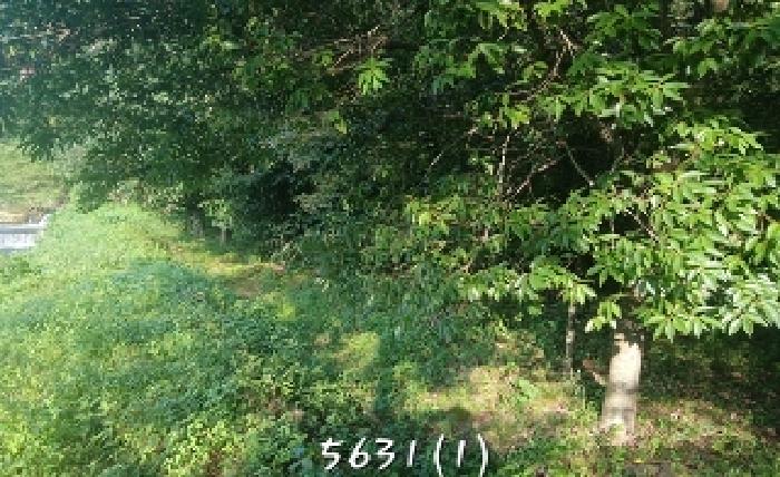 부산 기장군 철마면 전답 경매 물건 사진 3 · 2025타경5631