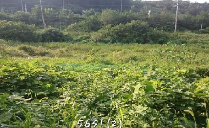 부산 기장군 철마면 전답 경매 물건 사진 4 · 2025타경5631