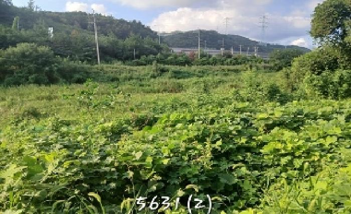 부산 기장군 철마면 전답 경매 물건 사진 5 · 2025타경5631