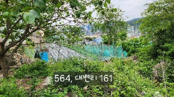 부산 기장군 기장읍 답 경매 물건 사진 3 · 2025타경564