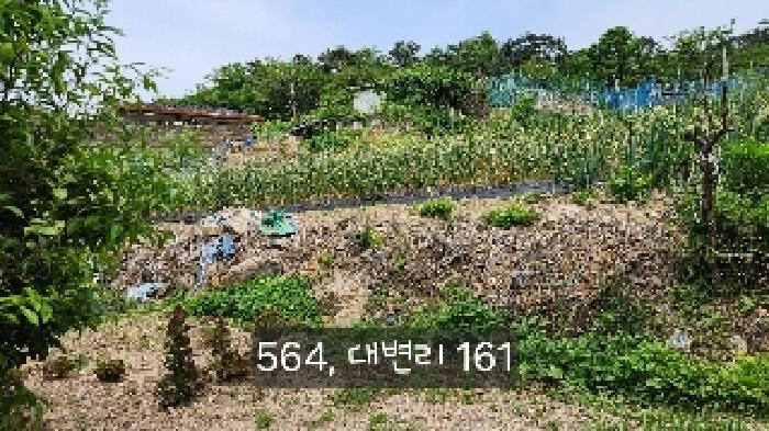 부산 기장군 기장읍 답 경매 물건 사진 5 · 2025타경564