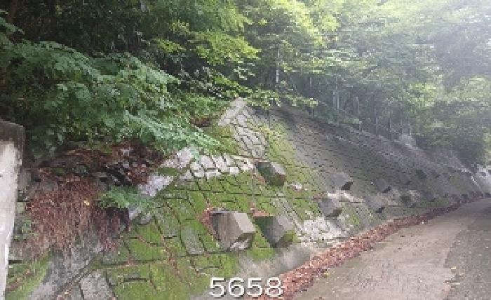 부산 기장군 정관읍 전답 경매 물건 사진 4 · 2025타경5658