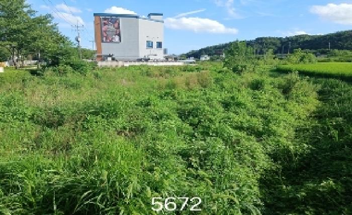 부산 기장군 장안읍 전답 경매 물건 사진 2 · 2025타경5672