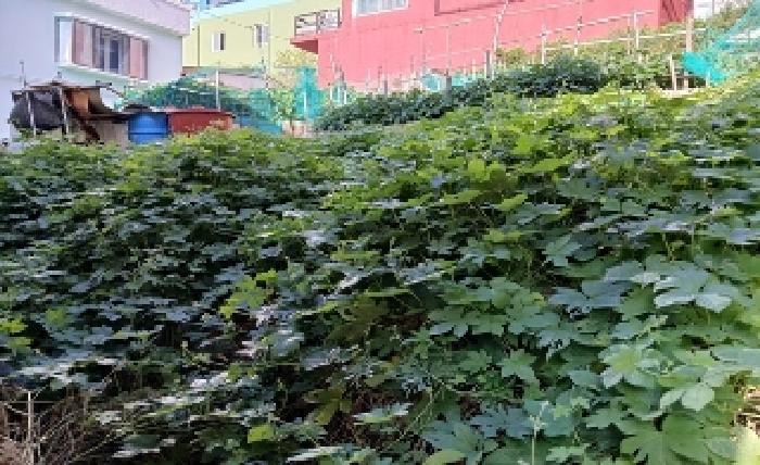 부산 해운대구 재송동 임야 경매 물건 사진 3 · 2025타경5683