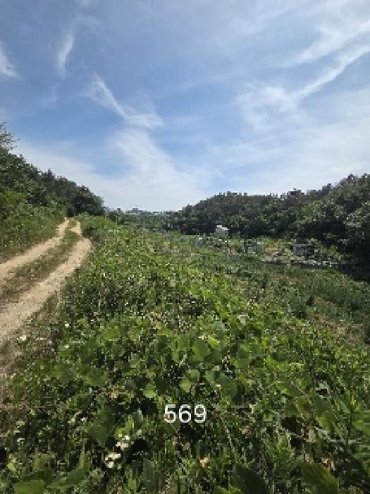 부산 기장군 장안읍 답 경매 물건 사진 3 · 2025타경569