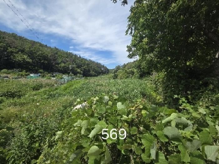 부산 기장군 장안읍 답 경매 물건 사진 5 · 2025타경569
