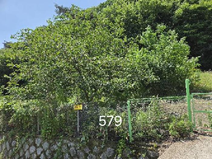 부산 기장군 정관읍 답 경매 물건 사진 3 · 2025타경579