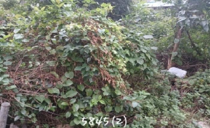부산 해운대구 우동 대지 경매 물건 사진